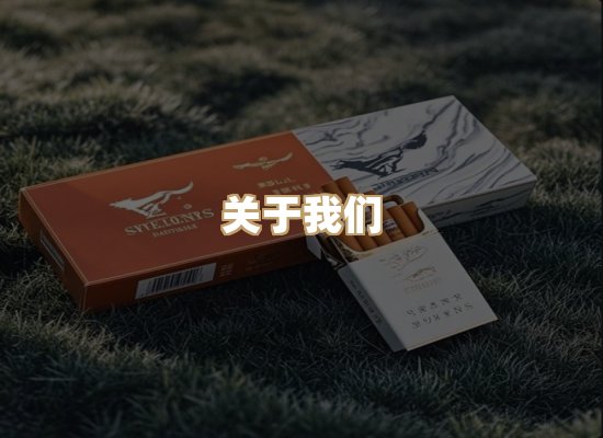 关于蓝帝网